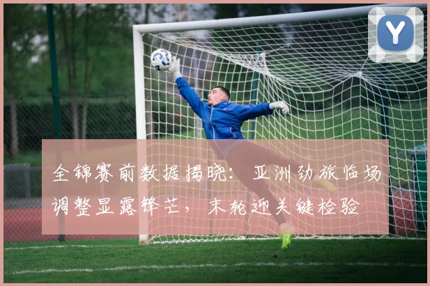 全锦赛前数据揭晓：亚洲劲旅临场调整显露锋芒，末轮迎关键检验