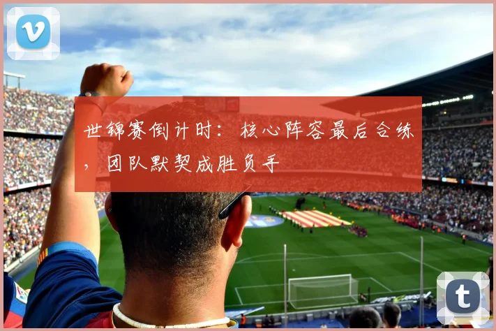 世锦赛倒计时：核心阵容最后合练，团队默契成胜负手